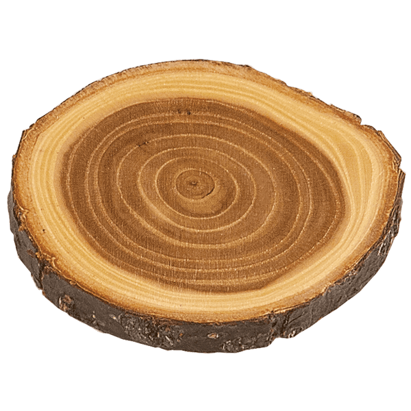 Old West Log Elmwood Coaster 4" - Etchlahoma